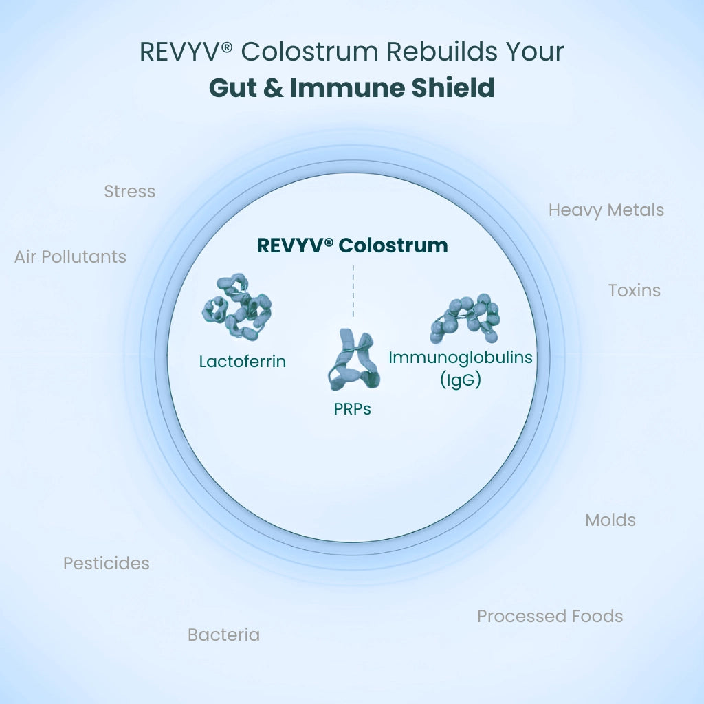 REVYV® Colostrum – Gut Restore Formula